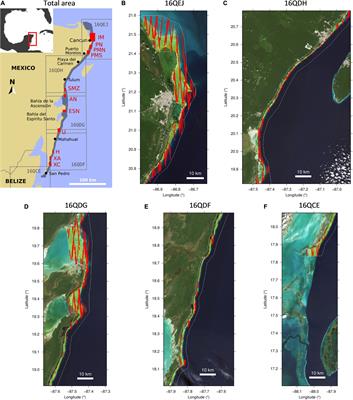 Seagrass Depth Distribution Mirrors Coastal Development in the Mexican Caribbean – An Automated Analysis of 800 Satellite Images